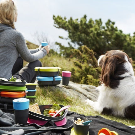 SnapBox im Doppelpack (2) original